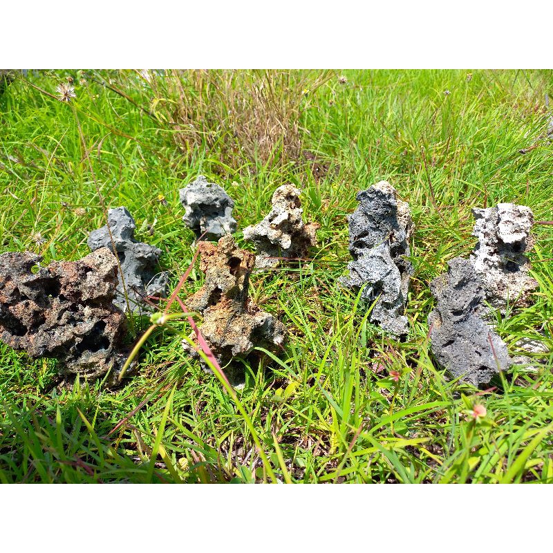 batu karang gunung kecil untuk pembuatan pot atau rangakain buat bonsai