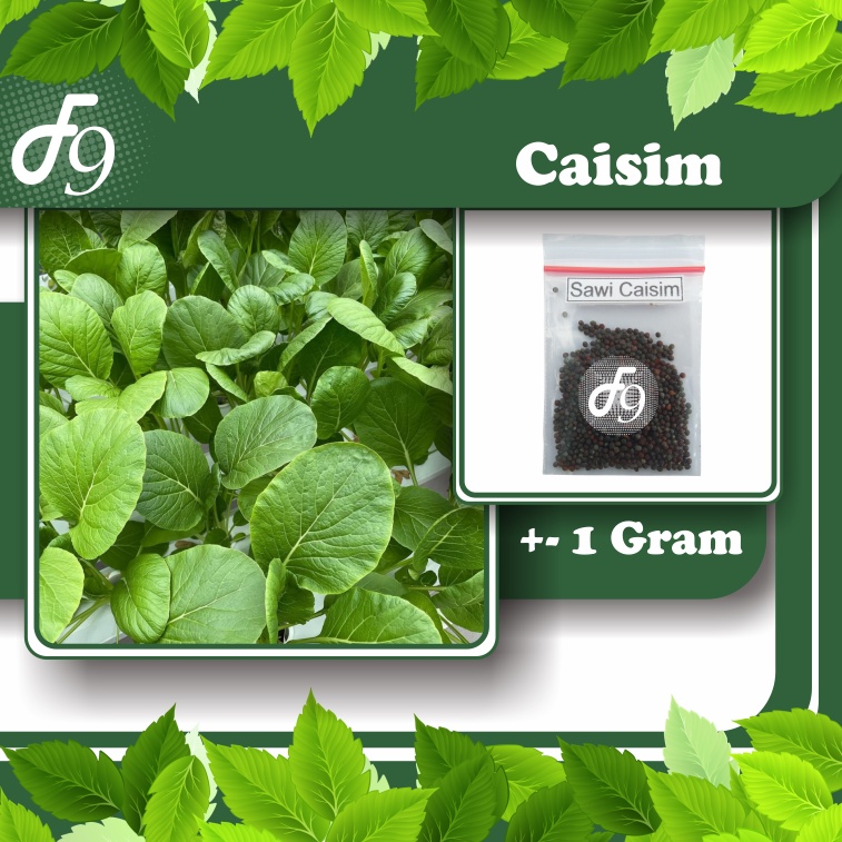 Benih Bibit Sayuran Daun Repack Murah Seribuan