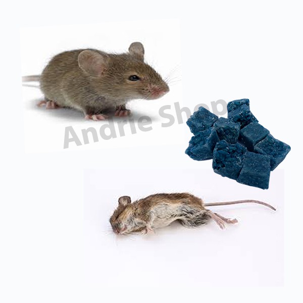 Racun Tikus / Umpan Tikus / Pembasmi Tikus / Anti Tikus KLERAT 0.005 BB Kemasan 1 Kg