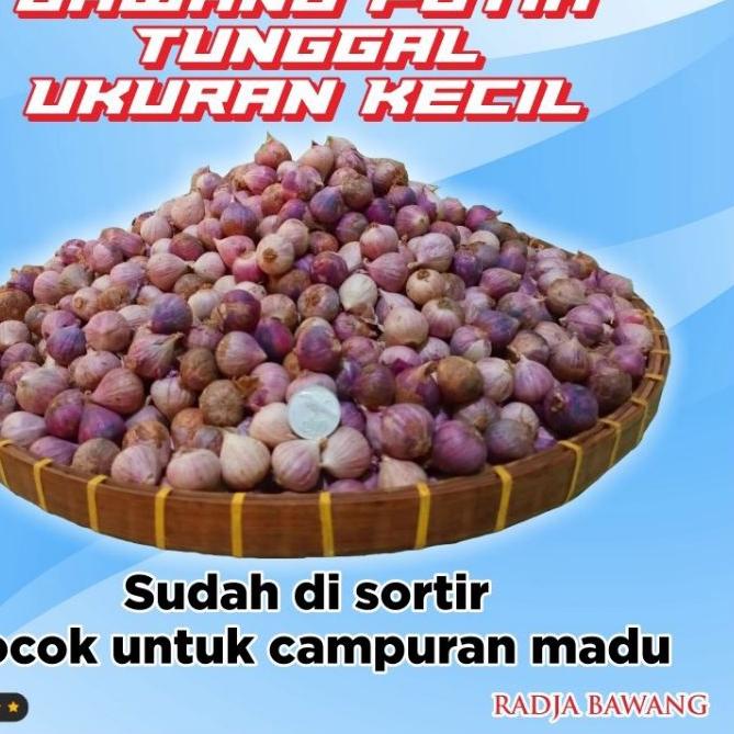 

4.4 PROMO BRAND (PROMO) BAWANG PUTIH TUNGGAL UK KECIL 1kg (Cocok untuk campurn Madu di dlm botol) !!