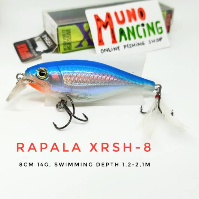 Minnow Rapala Xrap Shad Shallow XRSH-8 SB
