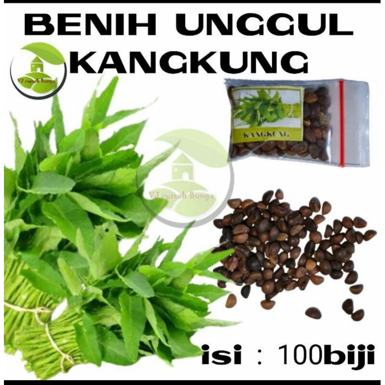 benih bibit sayuran kangkung