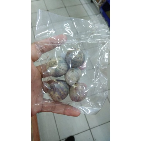 

Bawang Putih Tunggal 50 gram