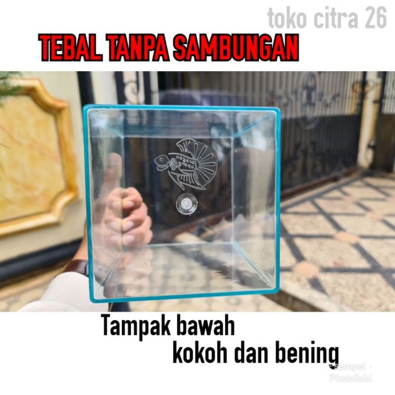 Soliter Akrilik Juragan Toples Cupang 2 Liter Juragan Toples Akrilik Injection Tanpa Sambungan