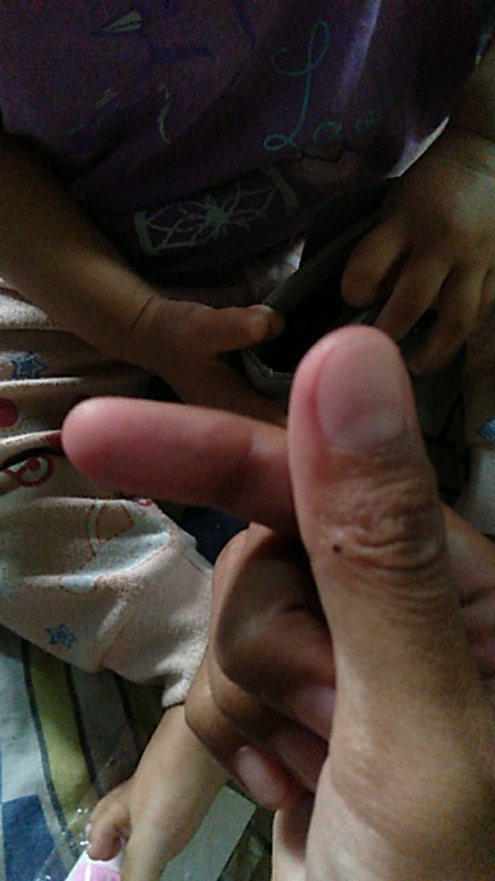 Termurah  Garukan Punggung Badan Murah Bisa Perpanjang Extendable Claw Scratcher Cakar Elang