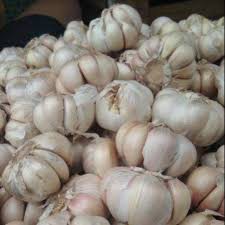 

BAWANG PUTIH DIKEMAS PER 100 GRAM