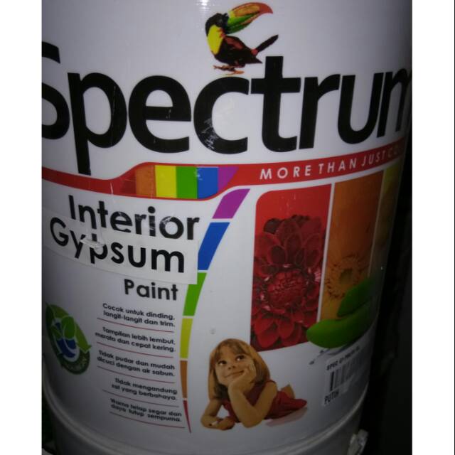 Cat SPECTRUM GYPSUM 5kg