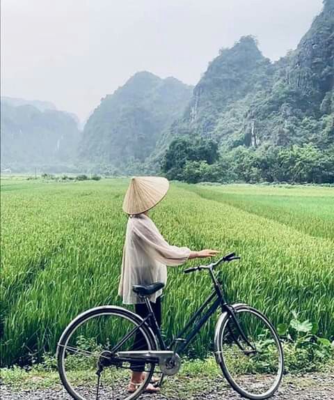 Zpt Et Trazol 250sc (pazole) 250 Ml