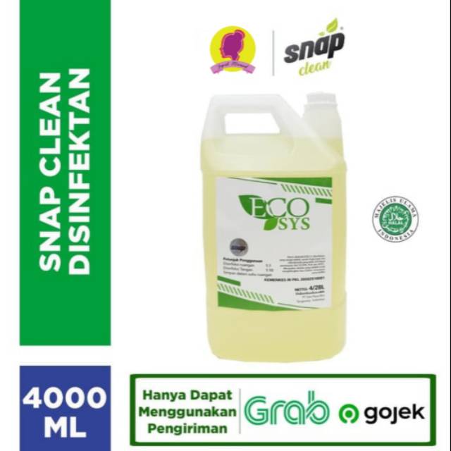 ECOSYS / DESINFEKTAN SNAP. CLEAN