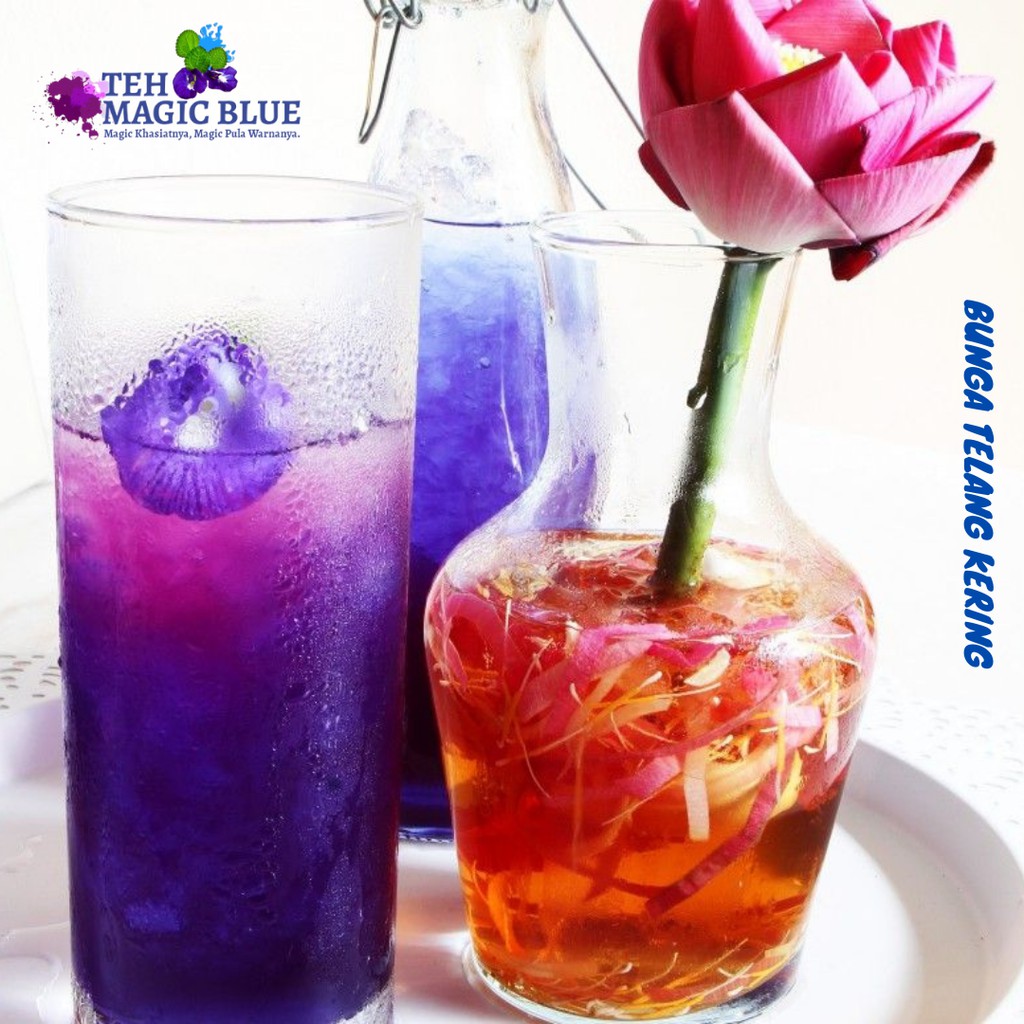 

[TERMURAH] Teh Biru Organik Bunga Telang / Butterfly Pea Flower Tea Harga Grosir (NETTO 10-20 GRAM)