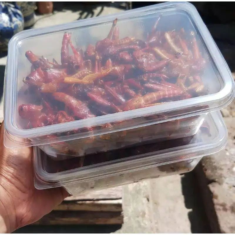 

ready walang goreng pedas,pedas asin,pedas manis