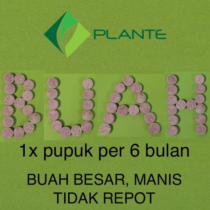 pupuq- pupuk tanaman bunga &amp; buah npk tablet fungsi hara lengkap -ayo-bertanam-ria.