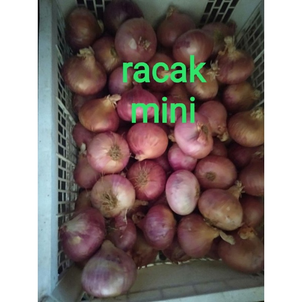 

bumbu dapur