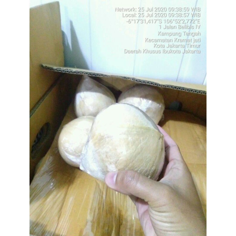 

kelapa thailand per biji