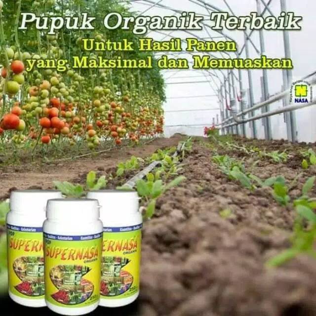 Supernasa Pupuk Nasa Pupuk Penyubur Tanaman Pupuk Nasa Original | Agen Nasa