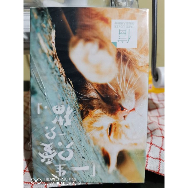 

kartu pos kucing/cat postcard