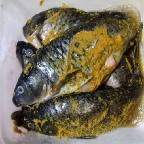 

ikan mas segar bumbu kuning siap digoreng