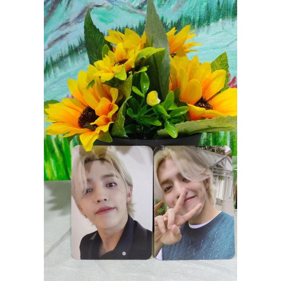 (READY) Photocard Seventeen SCOUPS DICON My Choice is
