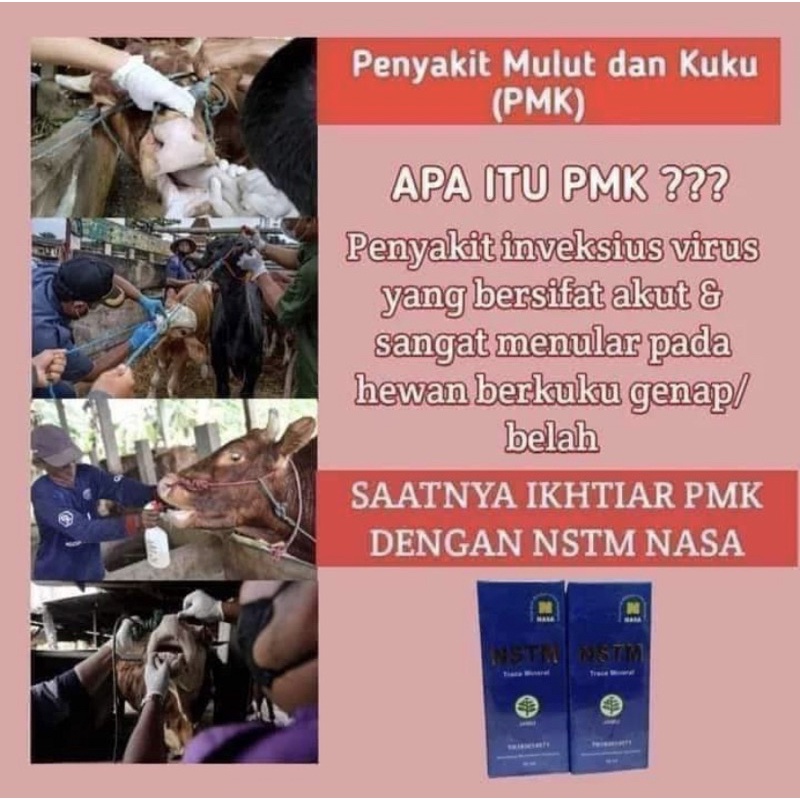 promo beli 2 gratis 1)Obat Pmk pada sapi paling ampuh / NSTM nasa obat  pmk sapi  bisa cod