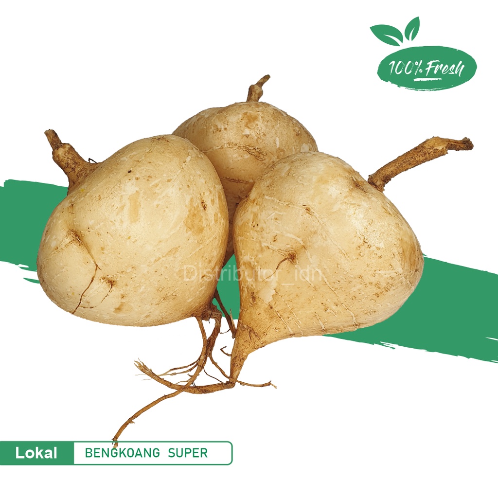 Jual Bengkoang Segar 1 Kg Bengkoang Buah Rujak Buah Segar Shopee