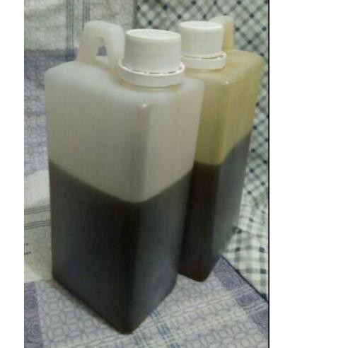 

Hanya di sini ! ✔ Madu Multiflora Curah Isi Bersih 1kg ~