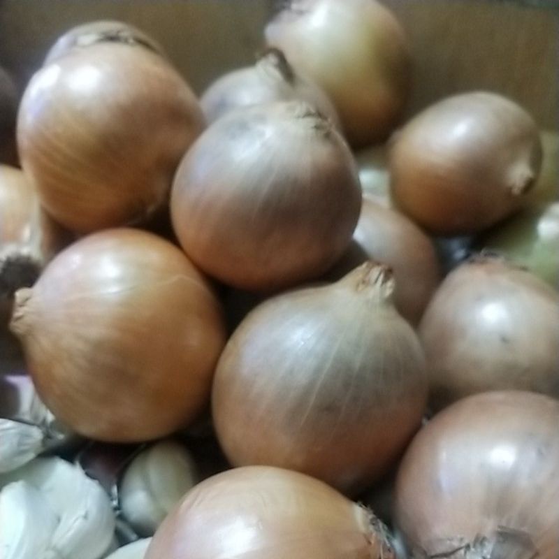 

bawang bombay 500g/Ammay_sayur