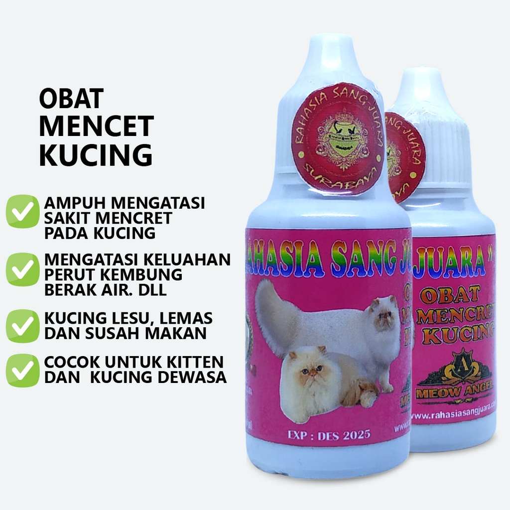 OBAT MENCRET DIARE UNTUK KUCING KITTEN DAN DEWASA