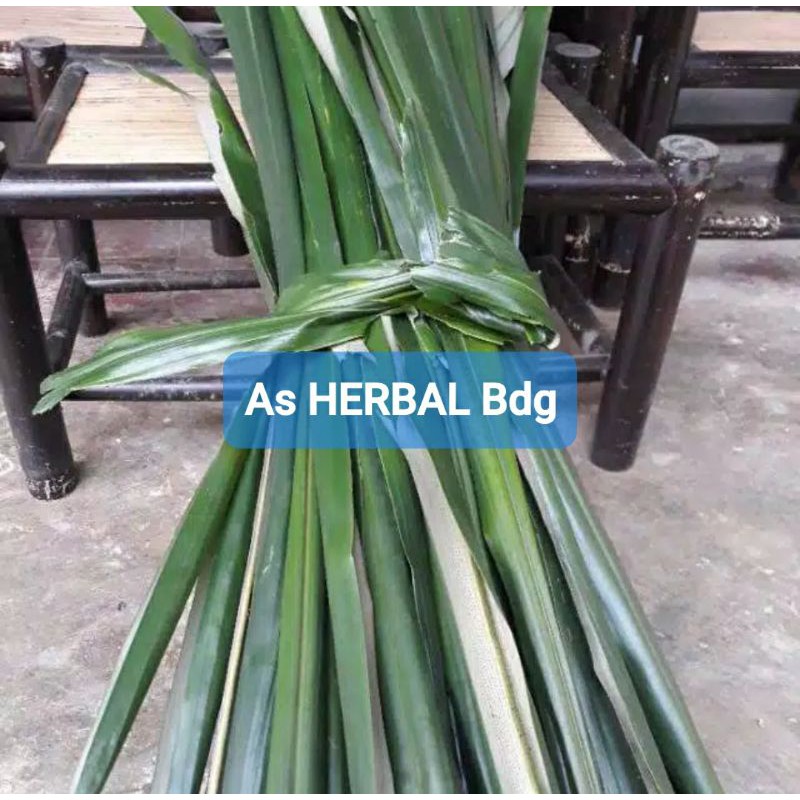 

Daun Pohon Aren Segar / daun aren 700 gram-az