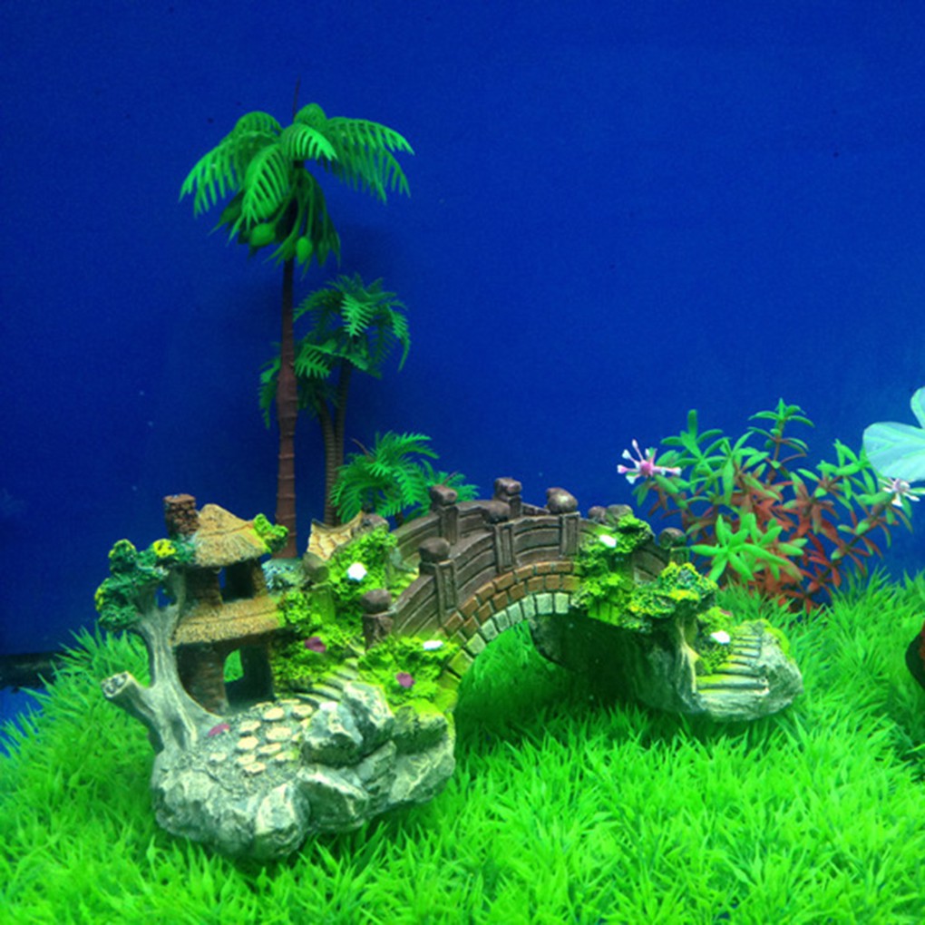 60+ Desain Hiasan Aquarium Terbaru