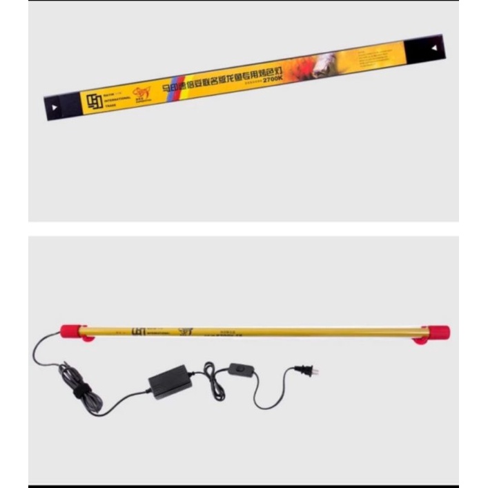 lampu tanning mayin 2700kalvin lamp aquarium