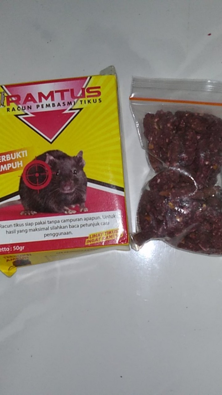 Racun Tikus Ramtus Asli Alami Mati Kering Tidak Bau Pembasmi Pengusir Tikus Super Paling Ampuh 1pack