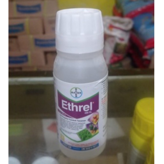 Ethrel 480 SL - 100 ml