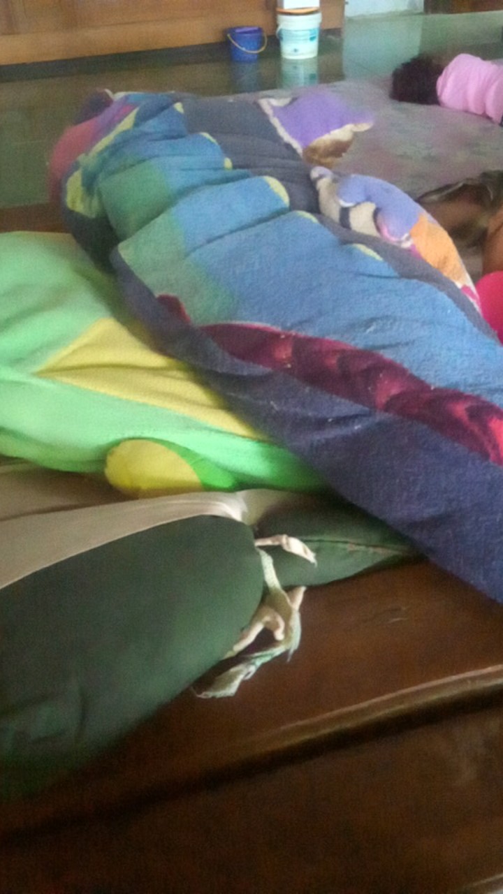 Seal Blender Original Grade - Karet Mounting Mdl Miyako National Dll