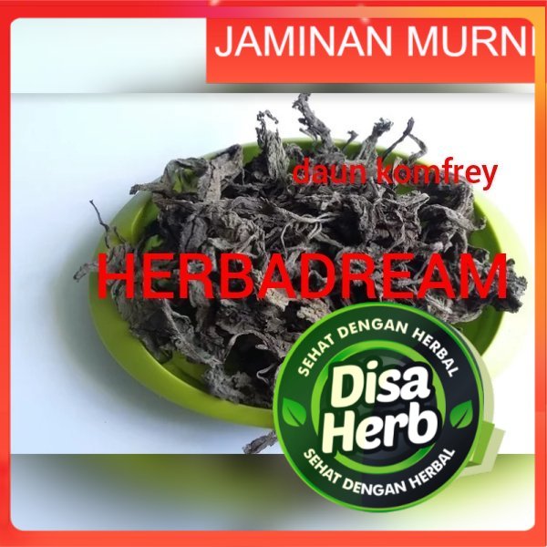 

DAUN KOMFREY COMFREY KERING 100 GRAM - Symphytum - MURNI - JSR - REMPAH