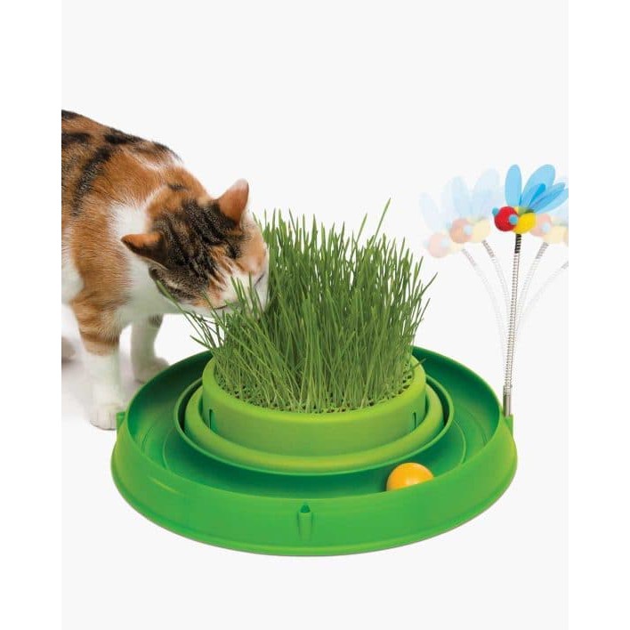 Circuit Ball Toy with Grass Planter - MAINAN KUCING - RUMPUT 