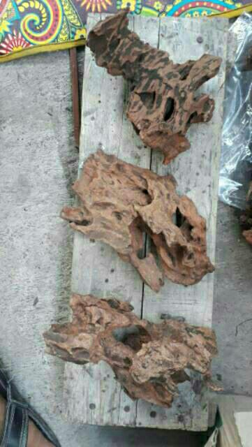 Kayu Rentek Ukuran S
