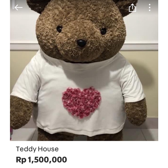 Teddy House preloved