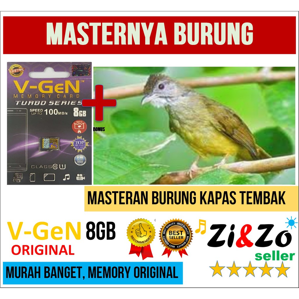 Masteran Burung Kicau Kapas Tembak Gacor