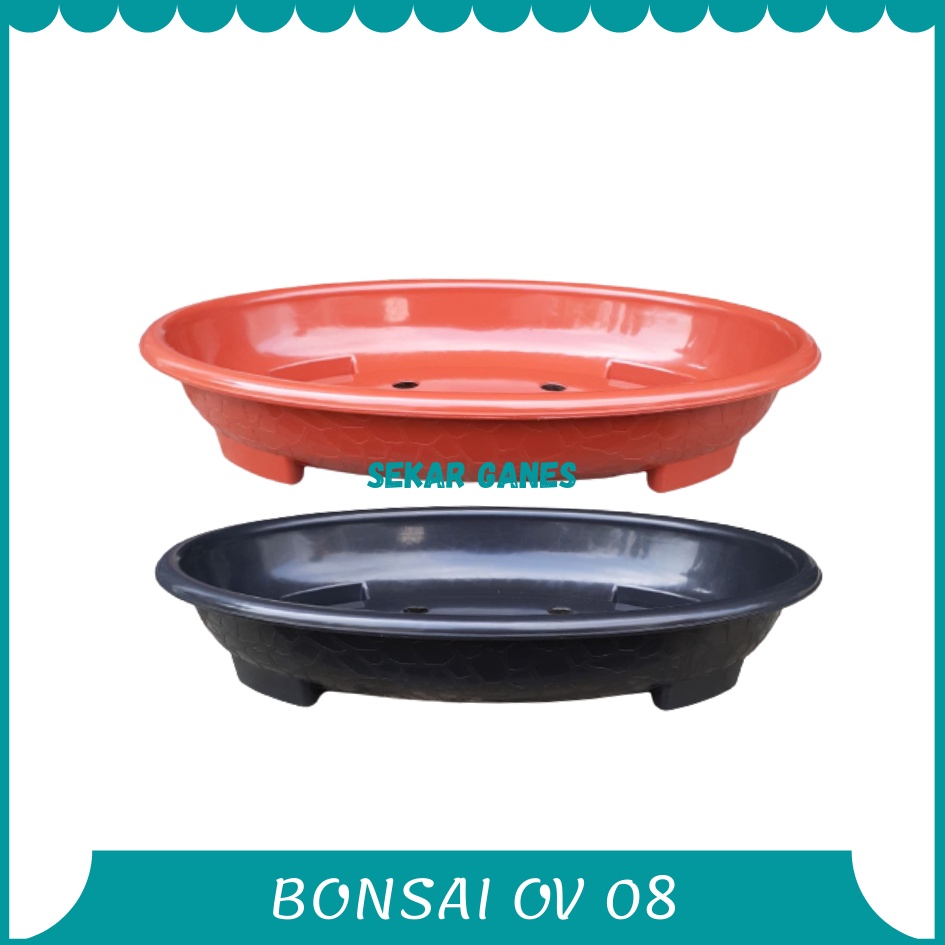 Pot Bonsai Oval Ov 08 Putih Hitam Merah Bata Coklat Pot Bunga Plastik Bonsai Motif Batu Alam Ceper Pendek Pot Bonsai Plastik Bonsai Mame Kelapa Besar Mini