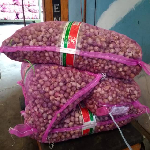 

Bawang tunggal