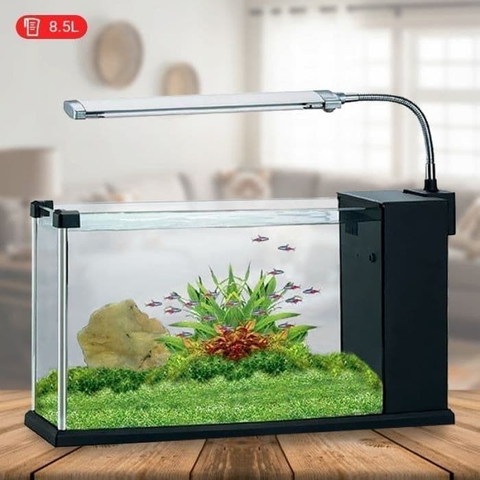 Aquarium Ikan Hias Aquarium Ikan Hias Akuarium Shopee Indonesia