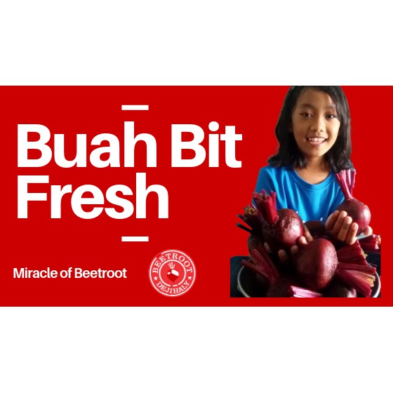 Jual Buah Bit Surabaya Ubi Bit Merah Manfaat Buah Bit Merah