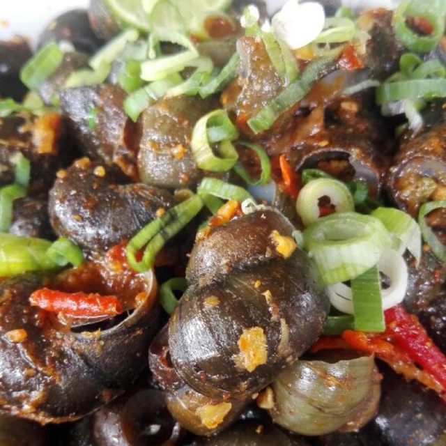 

Tutut balado
