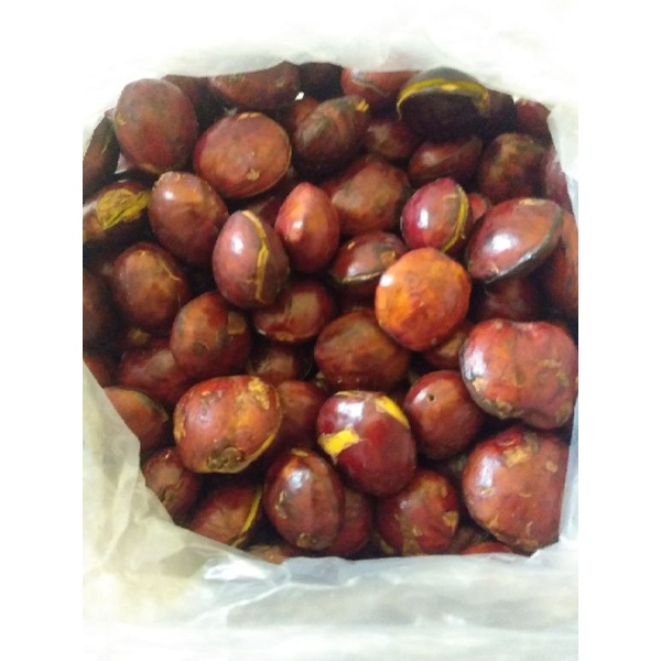 

jengkol segar