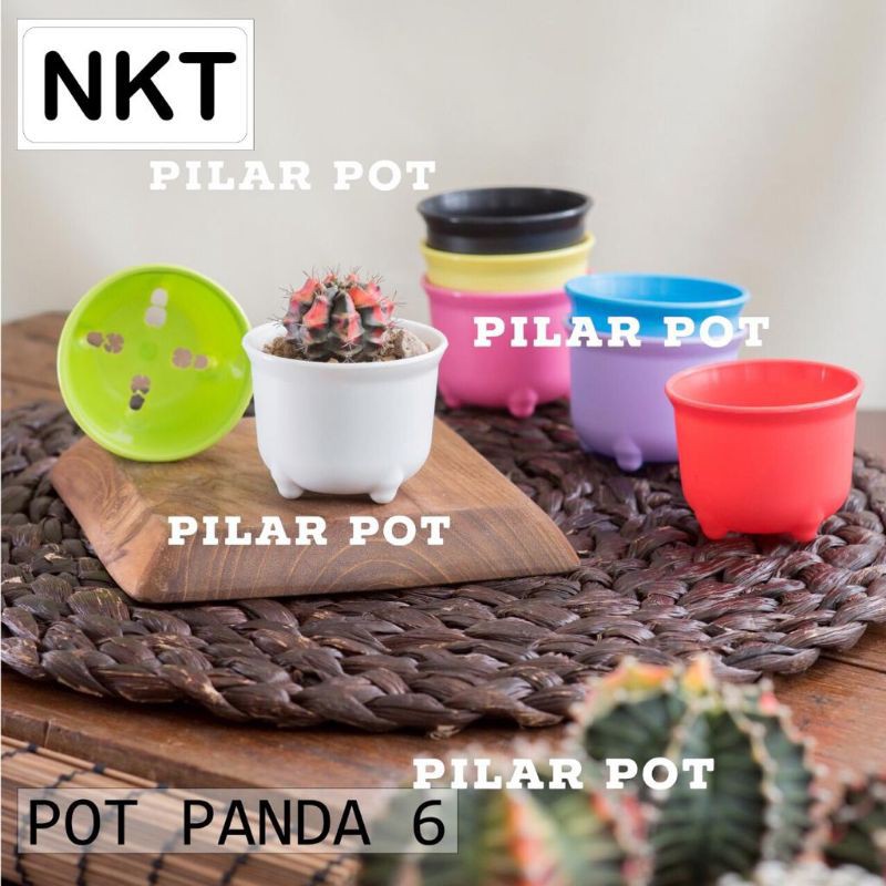 pot bunga tanaman mini nkt panda 06 warna warni 6cm - nkt mini