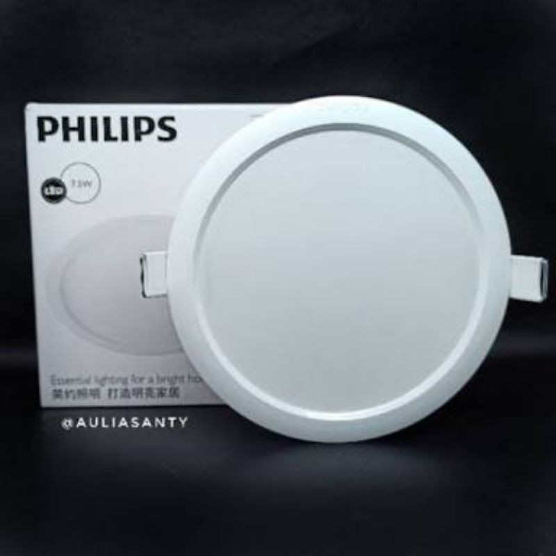 downlight philips