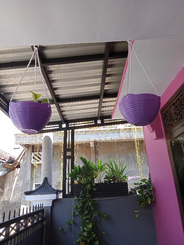 Pot Gantung Bunga Tanaman Nkt Mewah