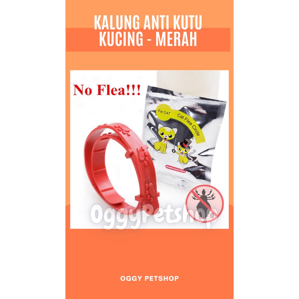 Kalung anti kutu kucing (Cat Flea Circle &amp; Mao Quan) Varian Warna