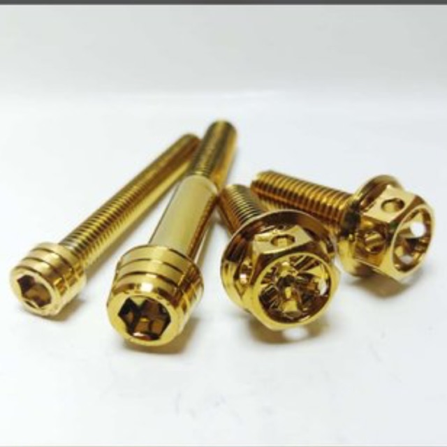 Baut probolt kaliper monoblok
