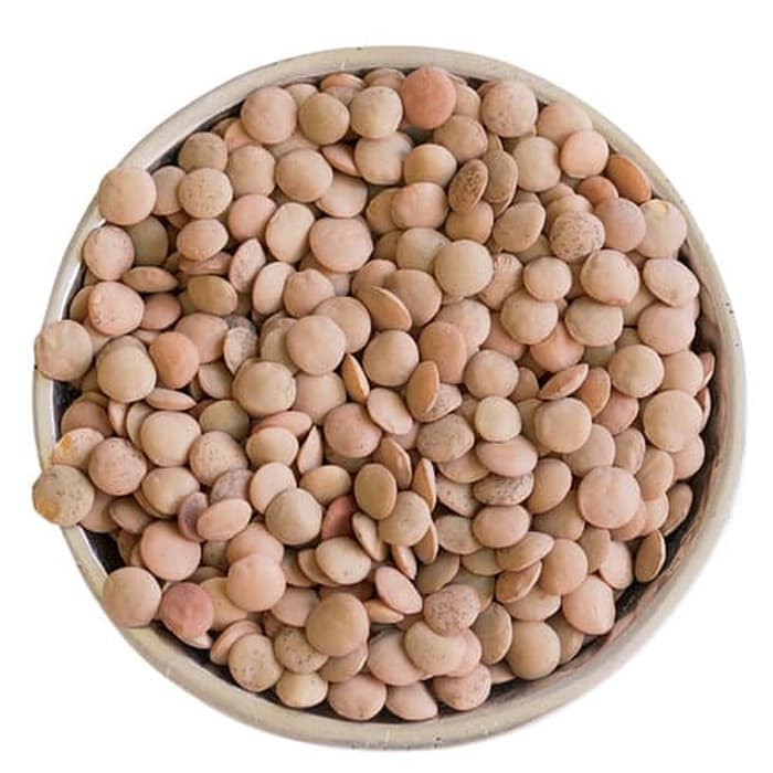 

Buruan Natural Brown Lentils 100 Gr Terlaris